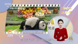 色视频免费看
